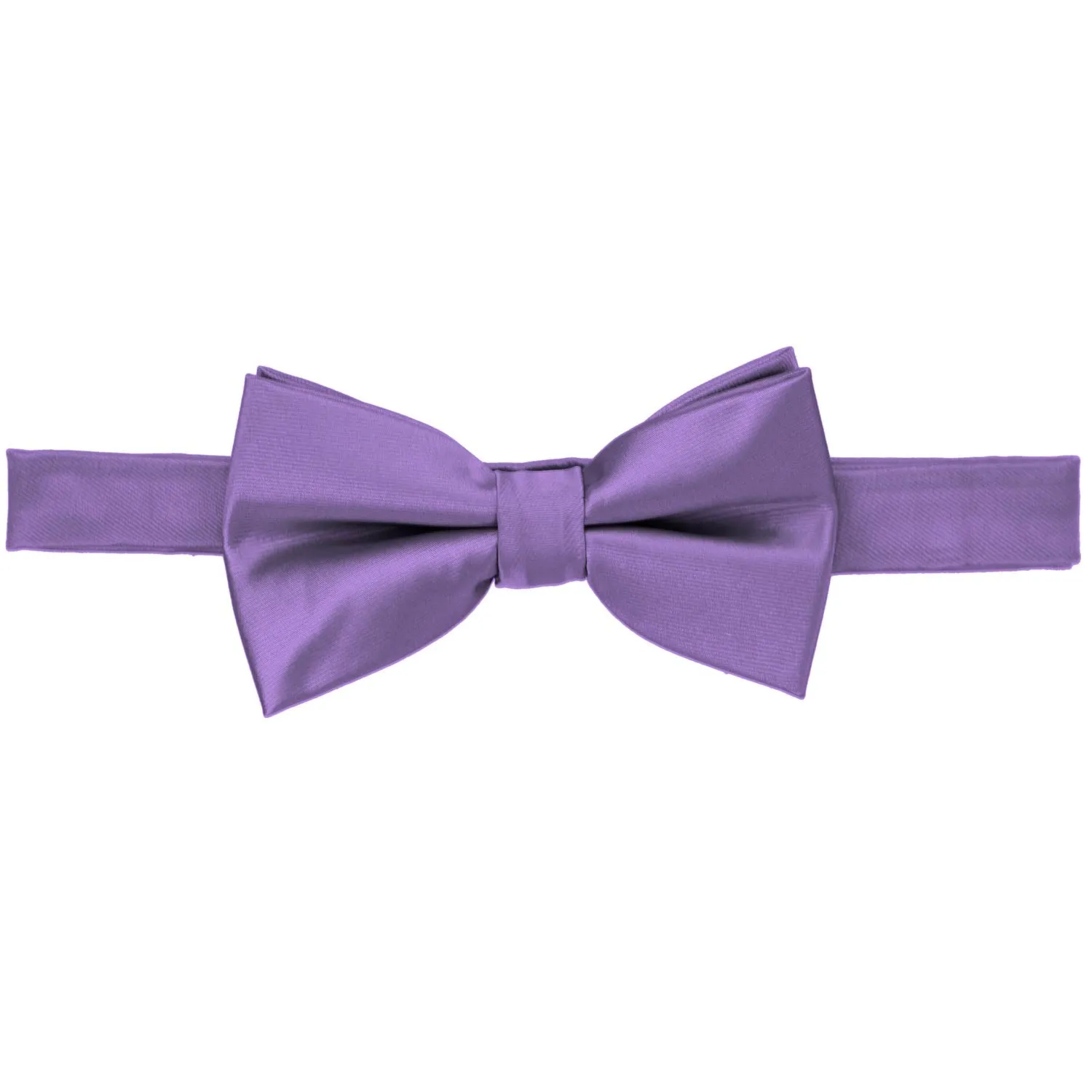 Purple Band Collar Bow Tie