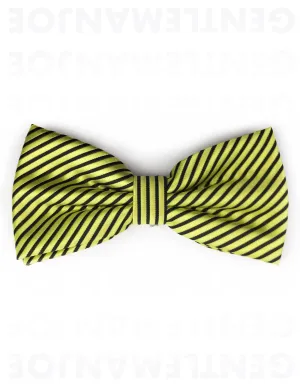 Striped Yellow Bow Tie